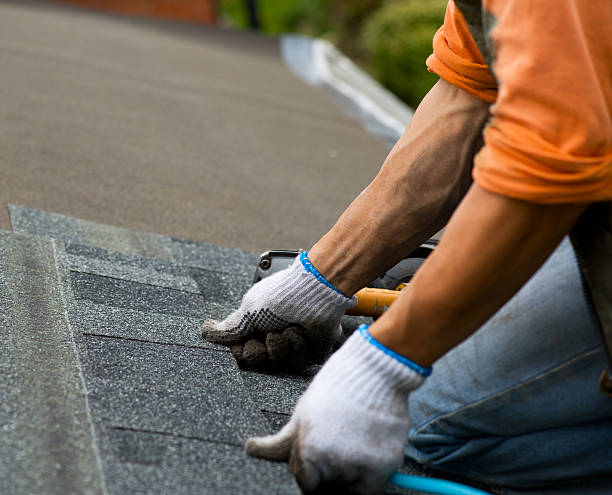 Best Best Roofing Contractors  in Trinidad, CO