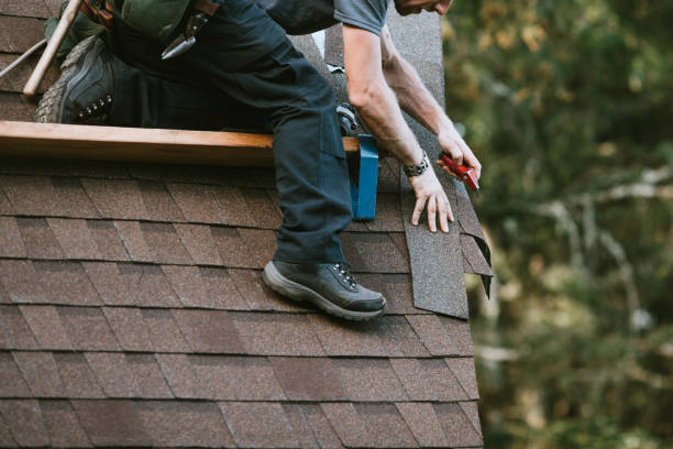 Best Metal Roofing Contractor  in Trinidad, CO